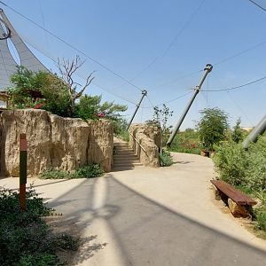 path in the Birds of Africa Aviary