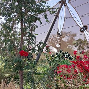 Structural column of the aviary