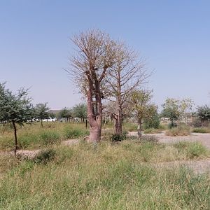 Looking out to the parking lots