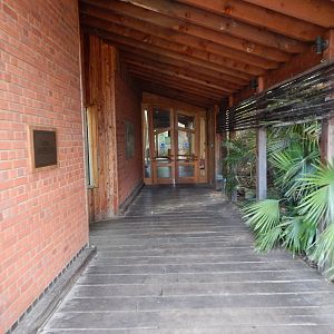 Komodo dragon exhibit 180322