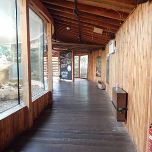 Komodo dragon exhibit 180322