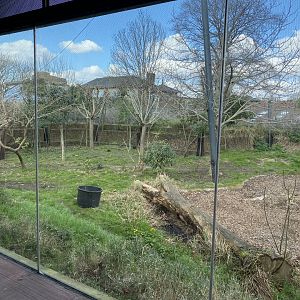 Tiger Territory - Sumatran tiger enclosure 180322