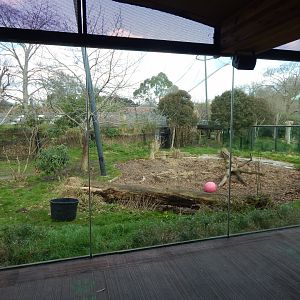 Tiger Territory - Sumatran tiger enclosure 180322