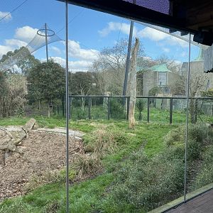 Tiger Territory - Sumatran tiger enclosure 180322