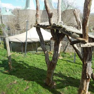 Tiger Territory - Sumatran tiger enclosure 180322