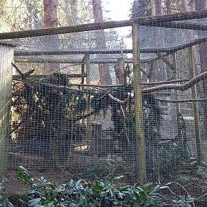 Kea-aviary