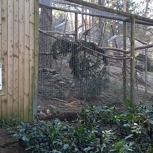 Kea-aviary and sign