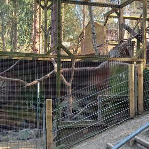 Raccoon enclosure