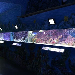 Tropical marine aquariums