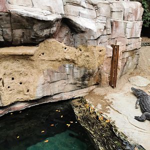 Nesting tunnels for bee-eaters - Tropen-Aquarium
