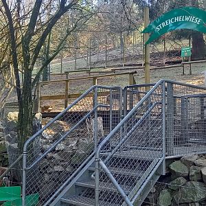 Goat and Pot-bellied pig enclosure