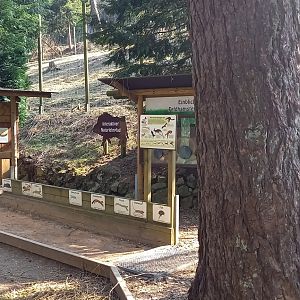 Not just for kids, how far can you jump ?