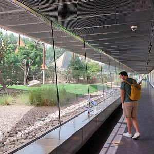 Right hallway with aviaries