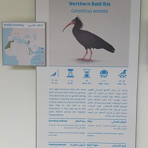Example of beautiful designed information signs
