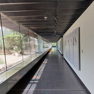 Beautiful modern architecture