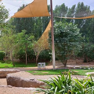 Mudflat birds aviary - lowered visitor path in aviary
