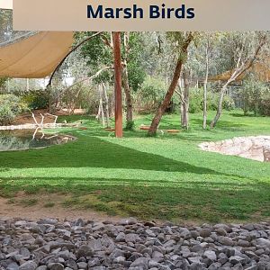Marsh Birds aviary