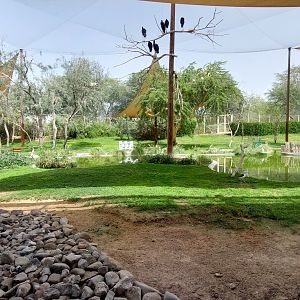 Marsh Bird aviary with walk-in