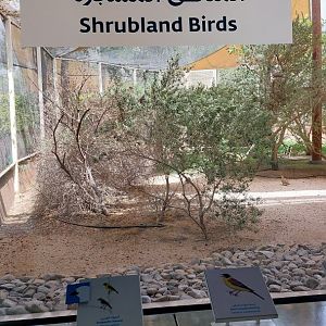 Shrubland Birds aviary