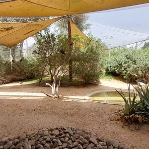 Shrubland Birds aviary