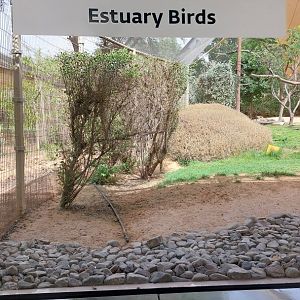 Estuary Birds aviary