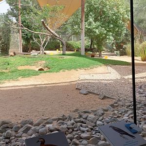 Estuary Birds aviary