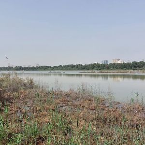 Wasit Wetland lake
