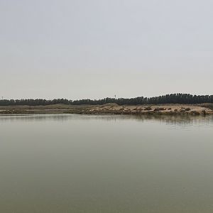 Wasit Lake with flamingo