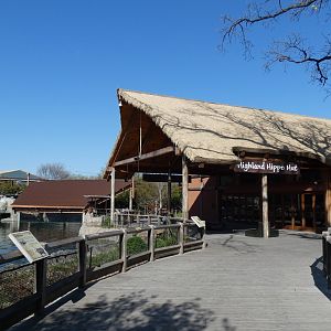 Hippo Outpost, Wilds of Africa - Mar. 2022
