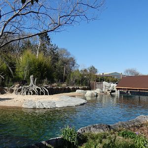 Hippo Outpost, Wilds of Africa - Mar. 2022