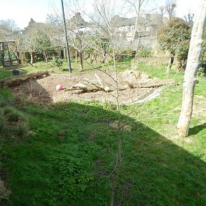 Tiger Territory 180322