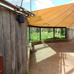 Tiger Territory 180322