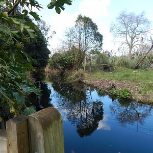 Gorilla Kingdom 180322