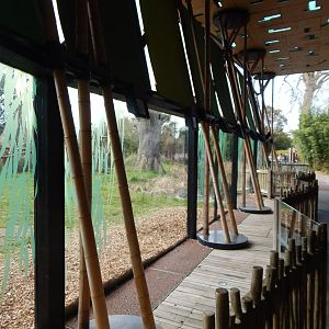 Gorilla Kingdom 180322