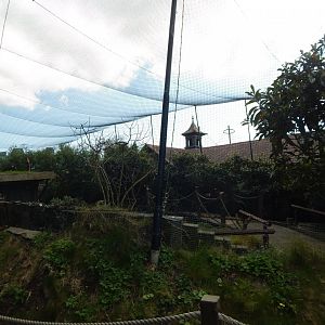 Bird Safari aviary (closed) 180322