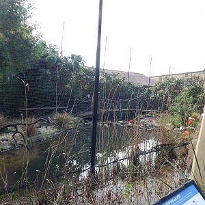 Bird Safari aviary (closed) 180322