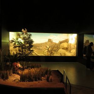 Darwineum - age of mammals