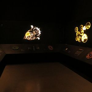 Darwineum - single cellular life