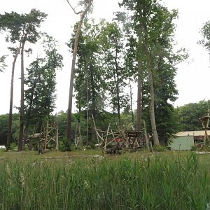 Darwineum - Orangutan outdoors