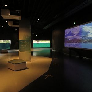 Polar exhibition