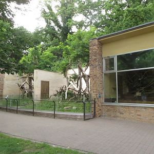 Tree kangaroo exhibits