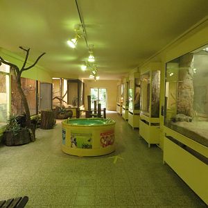 Small mammal and bird house