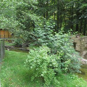European otter and raccoon enclosure