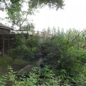 Capuchin enclosure