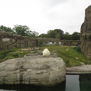 Part of polar bear enclosure