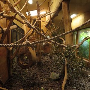 Callichthrid indoor enclosure