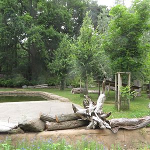 Pygmy hippo enclosure