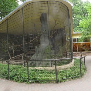 Binturong enclosure