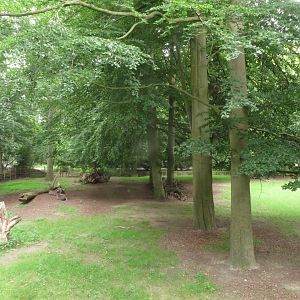 European elk & roe deer paddock