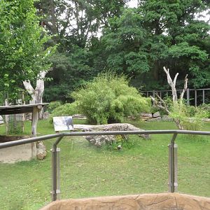 Pygmy hippo enclosure